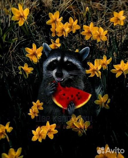 Картина по номерам 40x50 Енот с арбузом в желтых н