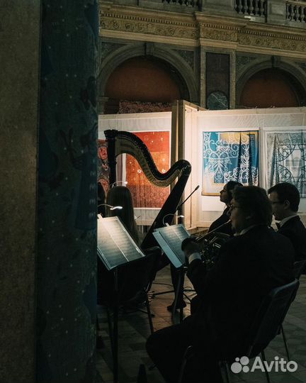 Уроки игры на арфе, репетитор по арфе