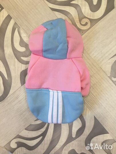 Одежда для собак