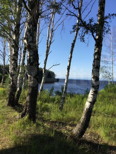 Участок 9 сот. (ИЖС)