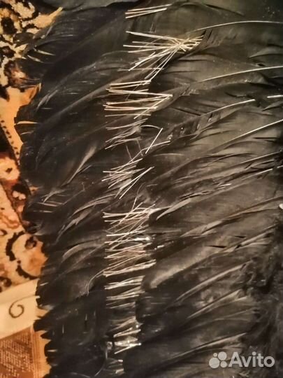 Крылья чёрные для праздника, фотосессии