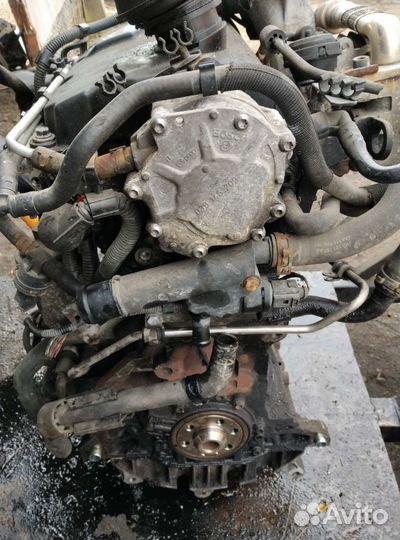 Двигатель гольф-5. Дизель 1.9.BKC