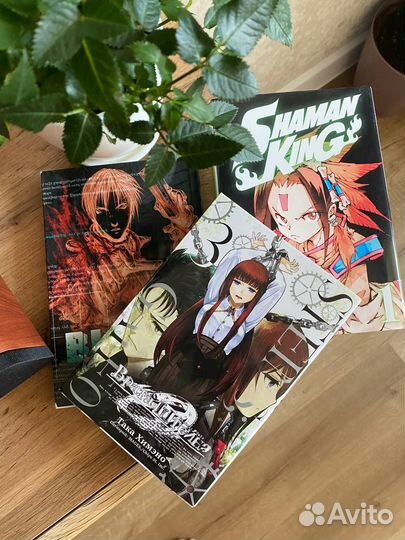 Манга Shaman King, Steins Gate, SAO и т.д