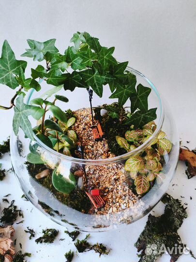 Подарок) Флорариум)