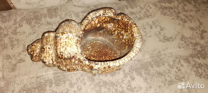 Ракушка конфетница