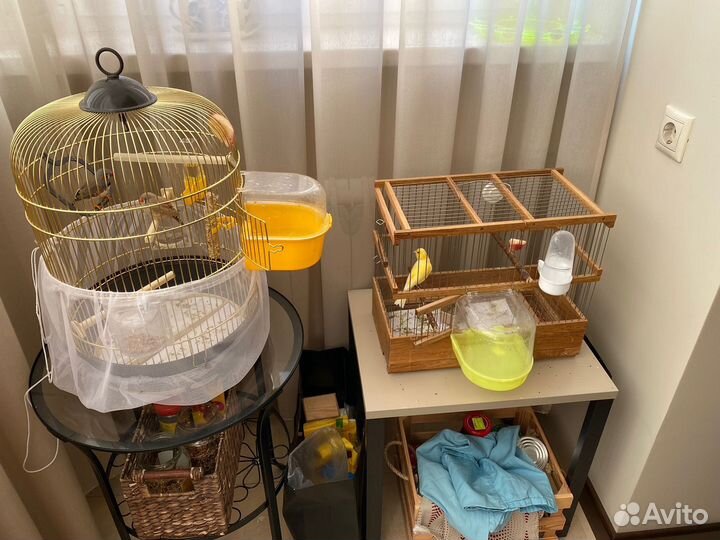 Клетка для птиц