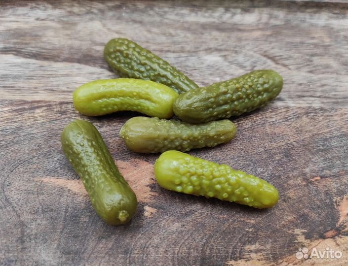 Формы для Екатерины