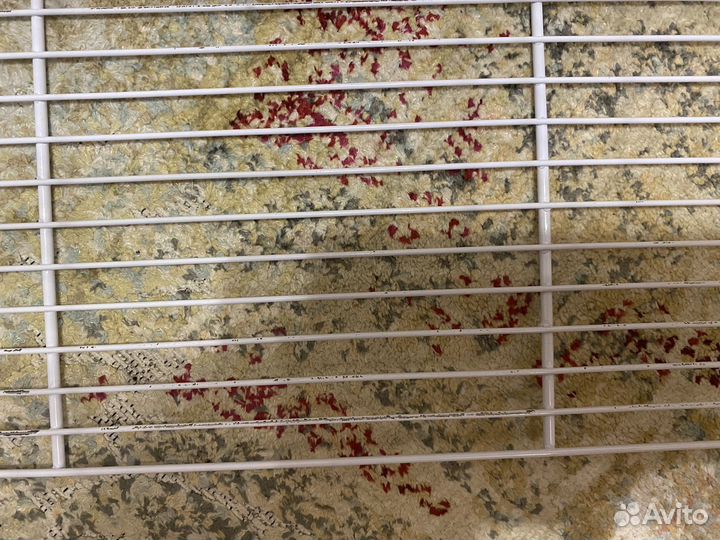 Клетка для хомяка ferplast criceti 9