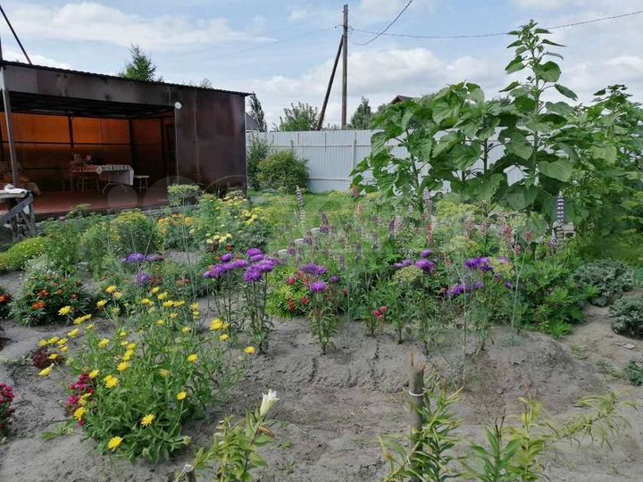 Дача 20 м² на участке 8,3 сот.