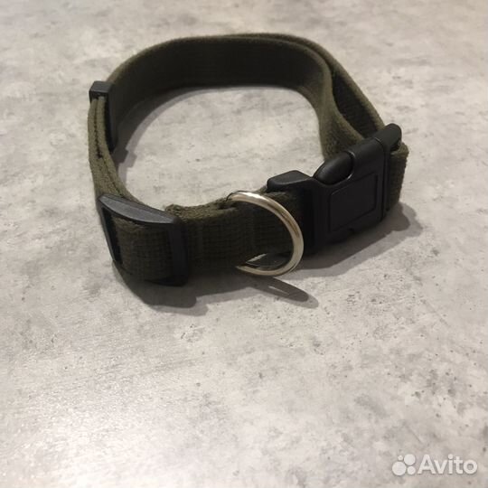 Ошейник и поводок