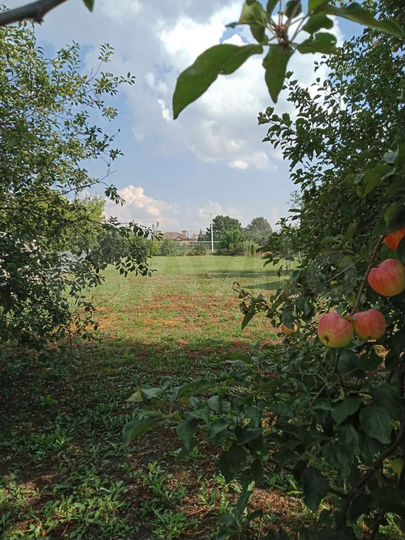 Дом 63,9 м² на участке 17,9 сот.