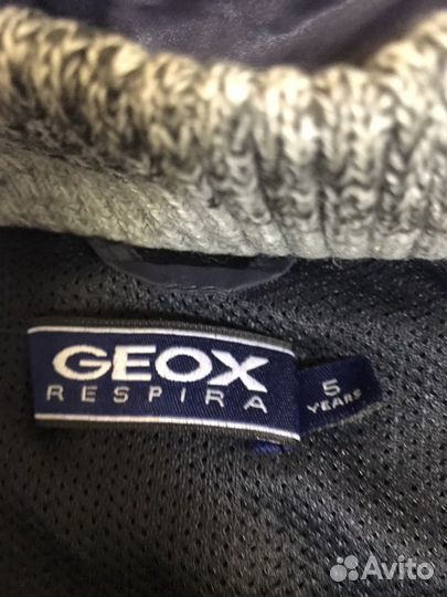 Курточки Geox ex 10 mirtillo