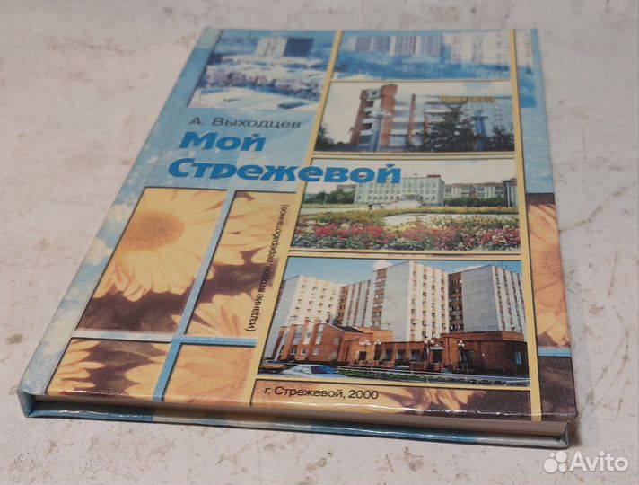 Мой Стрежевой / А. Ф. Выходцев