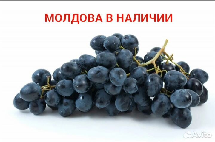 Молдова