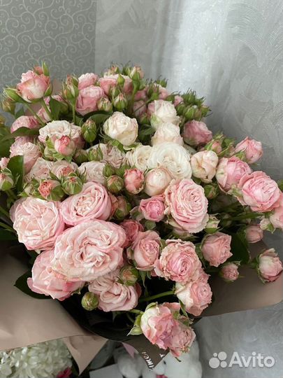 Пионовидные Кустовые Розы Ставрополь Доставка