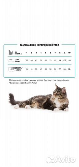 Сухой корм для кошек 10 кг премиум