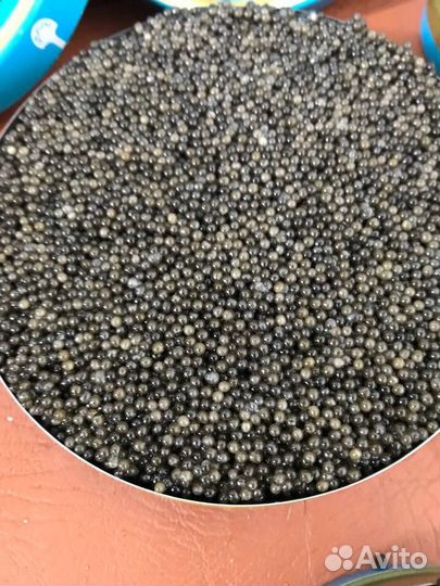 Икра с Рыбного хозяйства