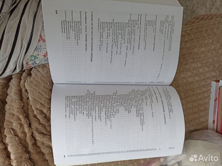 Учебник по анатомии