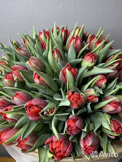 Цветы тюльпаны пионовид букет тюльпанов доставка