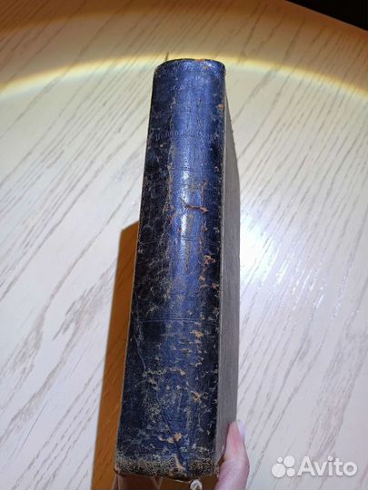 Август Форель 1907г