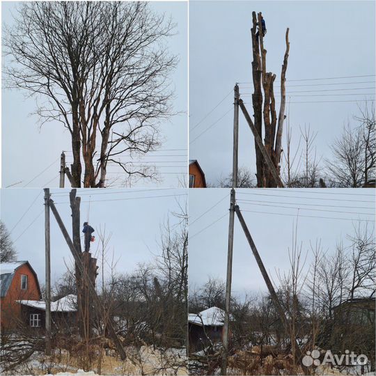 Спил деревьев, обрезка, расчистка участков