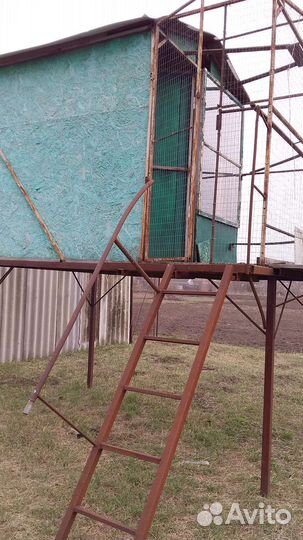 Голубятня продажа