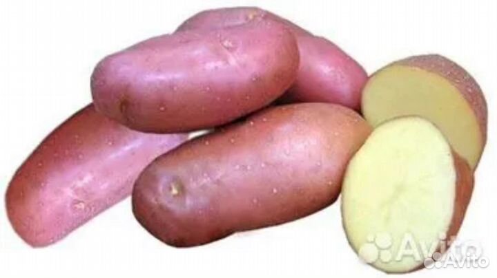 Продам картофель с доставкой