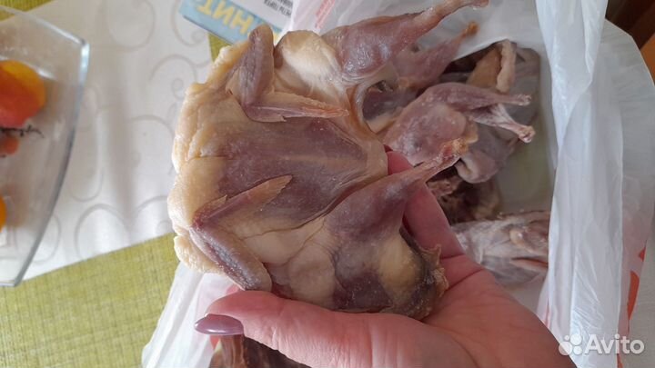 Мясо и яйца домашних перепелок