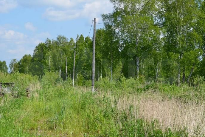 Участок 10 сот. (СНТ, ДНП)