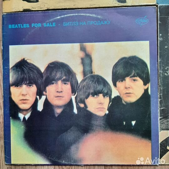 Виниловые пластинки the beatles