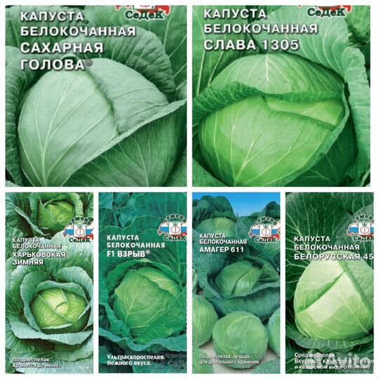 Семена капусты 35 сортов Бесплатная доставка