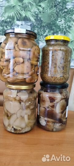 Грибы опята рыжики