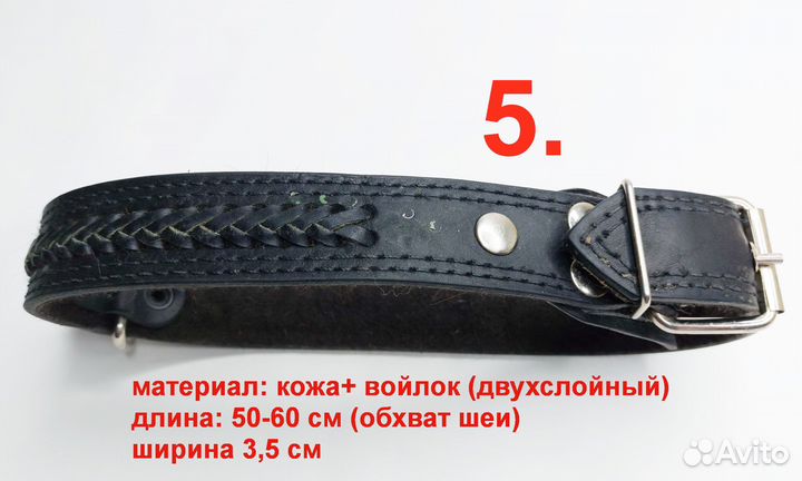Амуниция для собак : ошейник, поводок, шлейка, нам