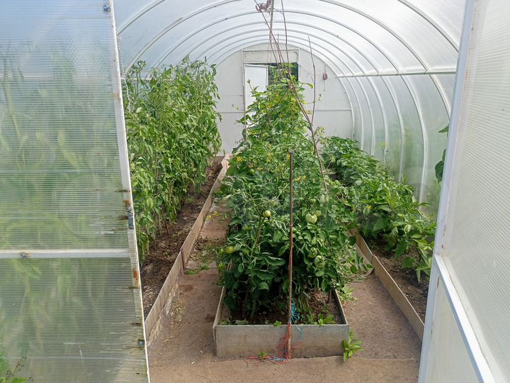 Участок 3,2 сот. (СНТ, ДНП)