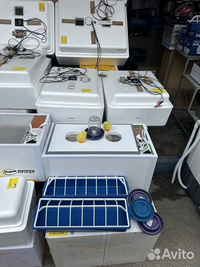 Инкубаторы новые автоматический умный