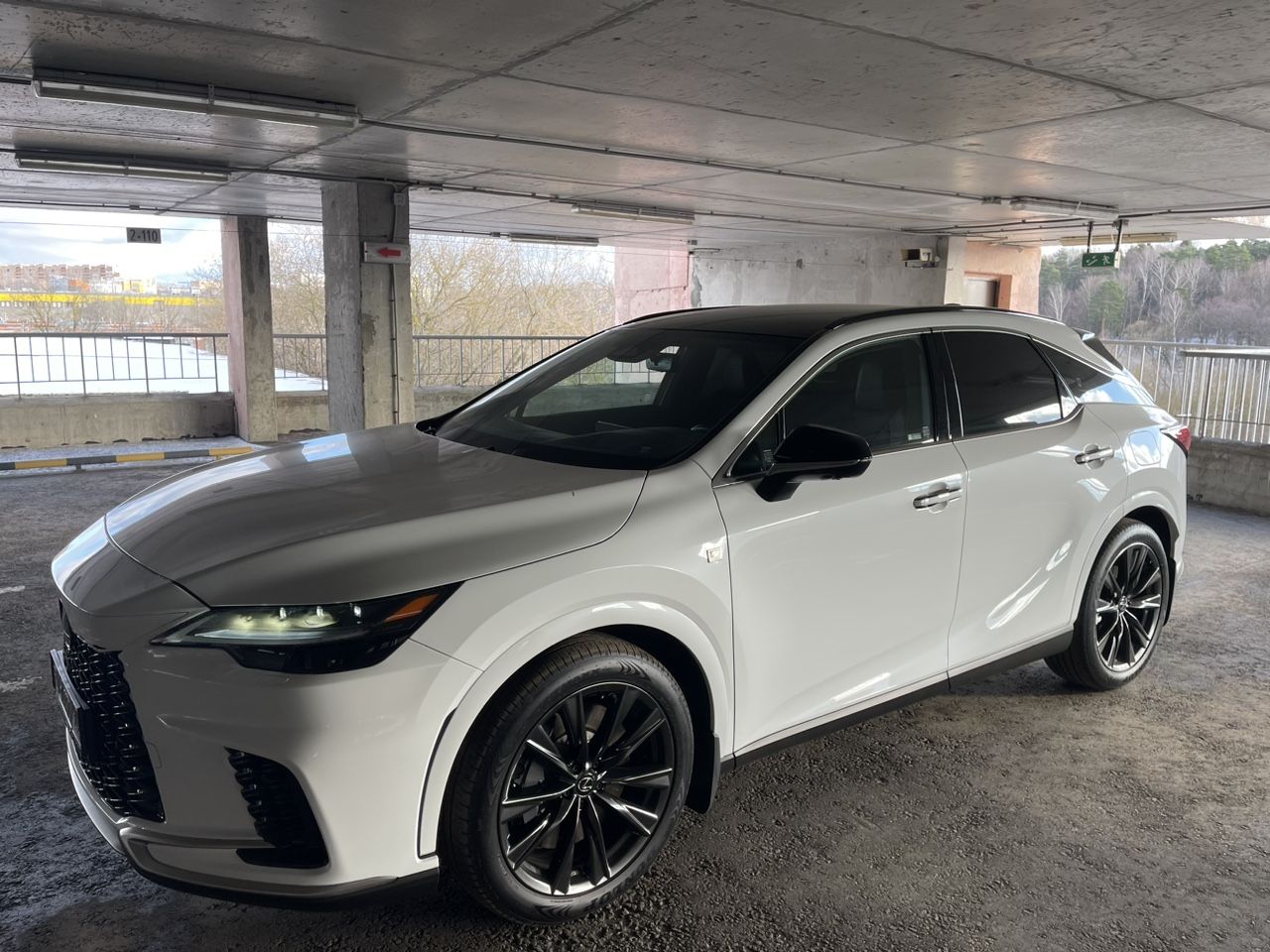 Lexus RX: фото владельца