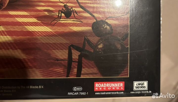 Dream theater lp Systematic chaos