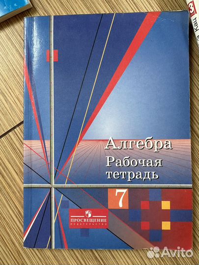 Алгебра 7 класс