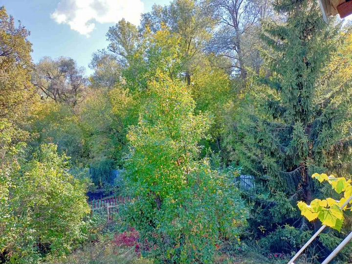 Дом 66,8 м² на участке 11 сот.