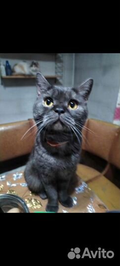 Детки разных возрастов ждут свою семью