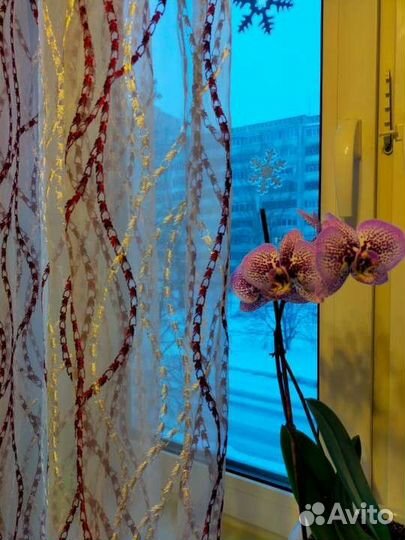 Занавески шторы тюль бу