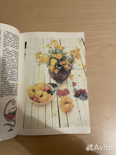 Альманах: Сад и огород 1992г