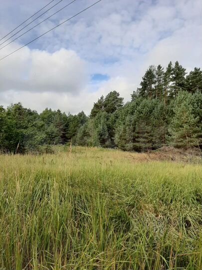 Участок 2 га (ИЖС)