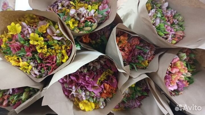 Цветы срезка