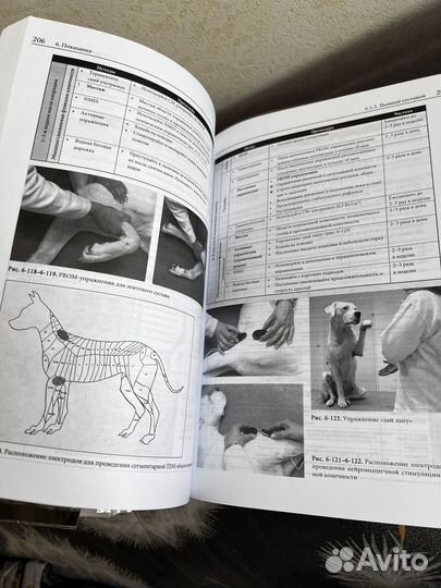 Книги по ветеринарии: по ортопедии и реабилитации