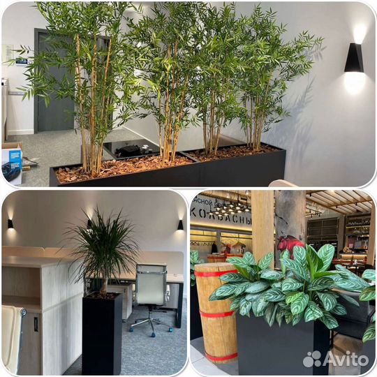 Деревянные кашпо, ящик для цветов