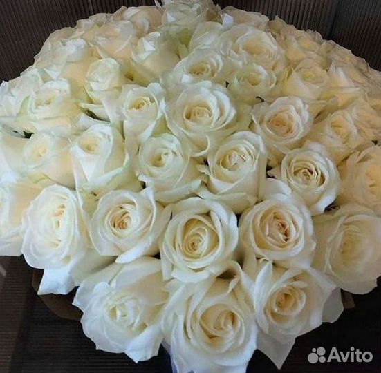 Высокие Розы Гиганты Доставка Круглосуточно