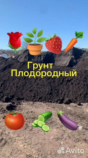 Чернозем ЗИЛ