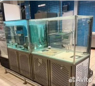 Аквариум для продажи живой рыбы