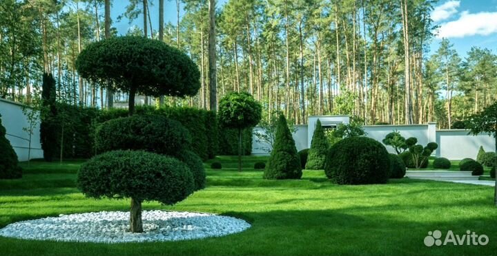 Газон рулонный гарантия